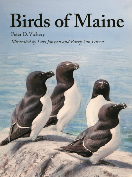Birds of Maine Hardcover - by Peter Vickery