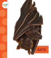 Bats By Wendy Strobel Dieker