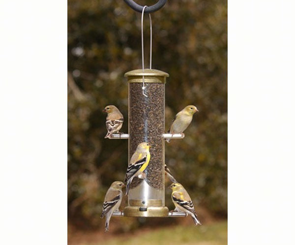 Quick Clean Nyjer Tube Small - Antique Brass