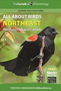 All About Birds Northeast - Cornell Lab of Ornithology