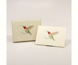 Ruby Throated Hummingbird Boxed Notecards