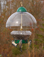 Droll Yankee Big Top Feeder (FOR PICKUP ONLY)