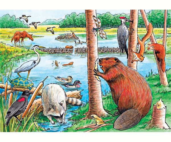 Beaver Pond 35-Piece Tray Puzzle