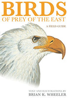 Birds of Prey of the East: A Field Guide