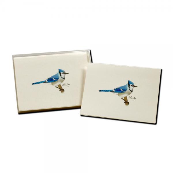 Blue Jay Boxed Notecards