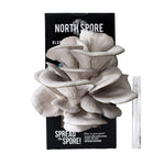 North Spore Blue Oyster Mushroom Spray & Grow Kit