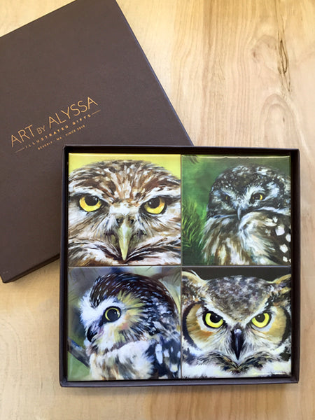 Owl Coaster Set - Art by Alyssa