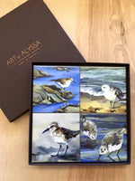 Shorebirds 2 Coaster Set - Art by Alyssa