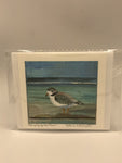 "Hanging By The Shore" Plover Prints by Catherine Worthington 5" x 5.5"