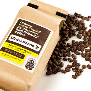 Coffee Chestnut Warbler Whole Bean - 2lb