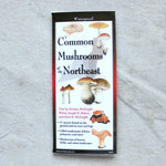 Common Mushrooms of the Northeast Folding Pocket Guide