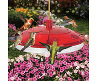 Large Hummingbird Feeder