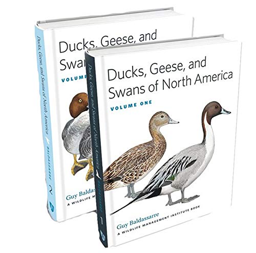 Ducks, Geese and Swans of North America