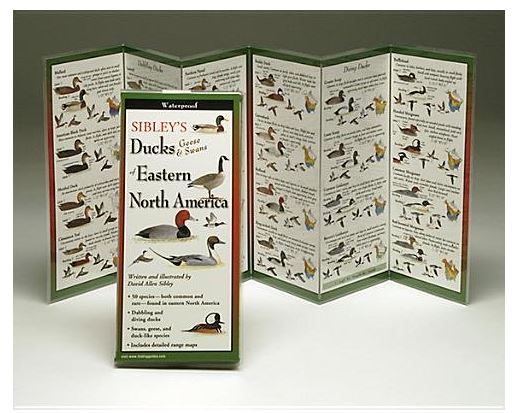 Sibley's Folding Field Guide to Ducks, Geese & Swans of Eastern North America