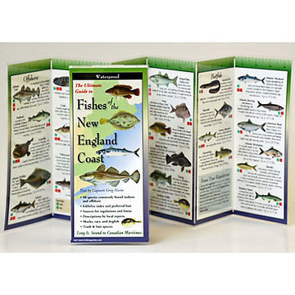 Fishes of the New England Coast Folding Pocket Guide