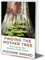 Finding the Mother Tree by Suzanne Simard (Paperback)