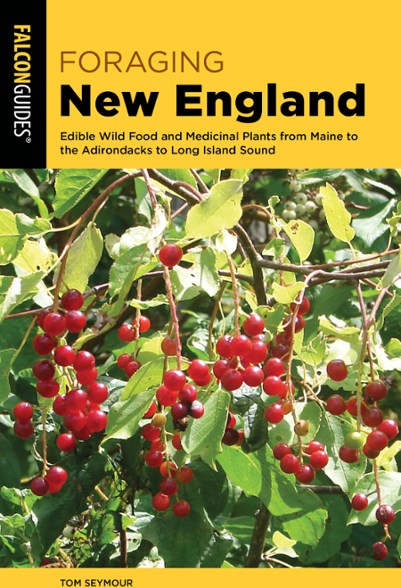 Foraging New England