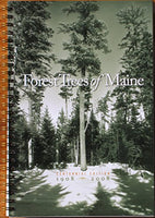 Forest Trees of Maine