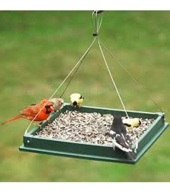 Large Hanging Platform Feeder - Green