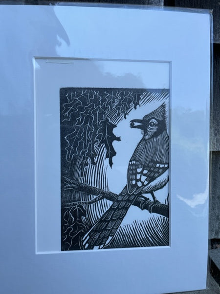 Woodcut Blue Jay Print - 5"x7"