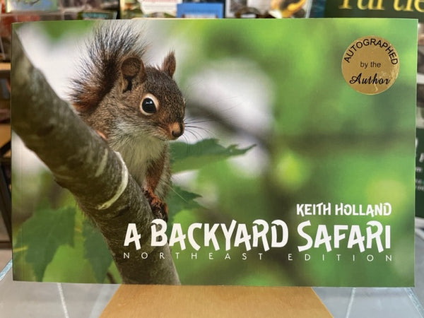 A Backyard Safari, Northeast Edition by Keith Holland