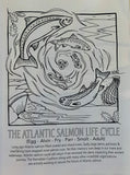 Coloring Book - 1 2 Sea - Run Fish of the Gulf of Maine