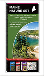 Maine Nature Set Pocketguides - set of 3