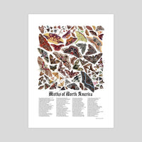 Jada Fitch Poster - Moths of North America (With Text)