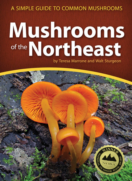 Mushrooms of the Northeast-By Teresa Marrone and Walt Sturgeon