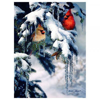 Natures Jewels 1000 Piece Cardinal Puzzle