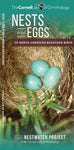 Nests and Eggs of North American Backyard Birds - Cornell Lab of Ornithology