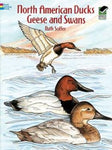 North American Ducks, Geese and Swans