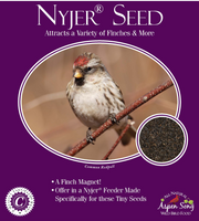 Aspen Song Nyjer Seed (FOR PICKUP ONLY)