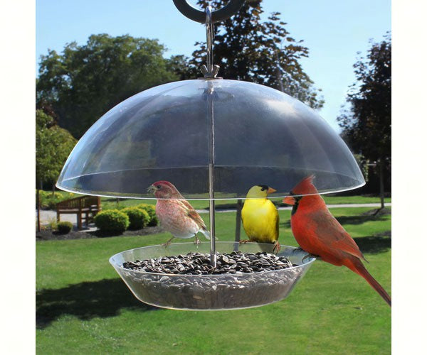 Observatory Dome Feeder (FOR PICK-UP ONLY)