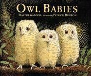 Owl Babies - Softcover