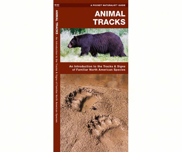 Pocket Naturalist Animal Tracks