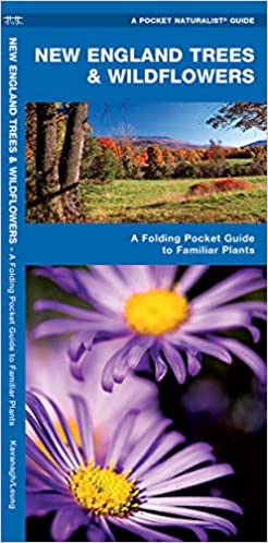 Pocket Naturalist Guide - New England Trees & Wildflowers