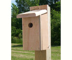 Chickadee House (FOR PICK-UP ONLY)
