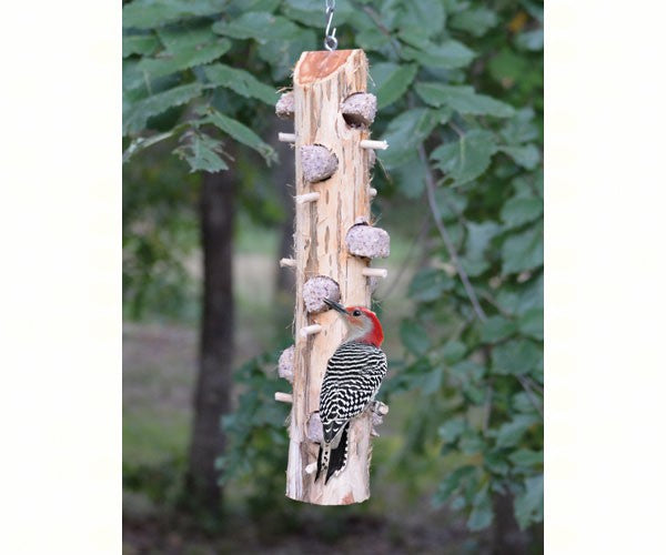 6 Plug Wooden Suet Log With Perches (FOR PICKUP ONLY)