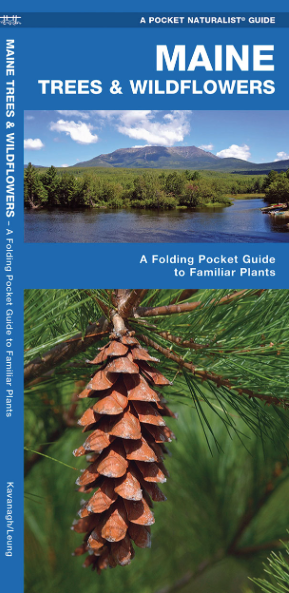 Pocket Naturalist Guide-Maine Trees & Wildflowers