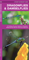 Pocket Naturalist Guide-Dragonflies & Damselflies