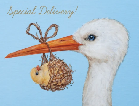Special Delivery Card