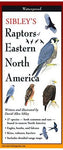 Sibley's Folding Field Guide to Raptors of Eastern North America