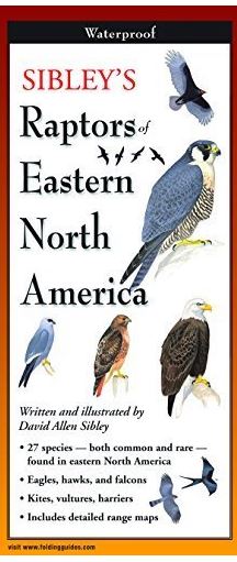 Sibley's Folding Field Guide to Raptors of Eastern North America