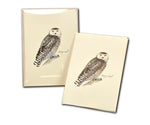 Sibley Snowy Owl Card Assortment