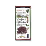 Sibley's Common Trees Trails & Forests of Northeast: Folding Pocket Guide