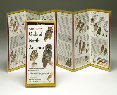 Sibley's Folding Field Guide: Owls of North America