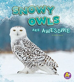 Snowy Owls Are Awesome