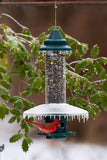 Weather Guard for Squirrel Buster Plus Feeder