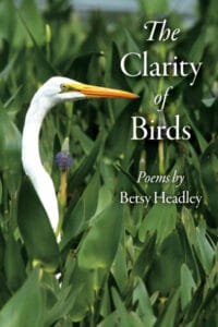 The Clarity of Birds